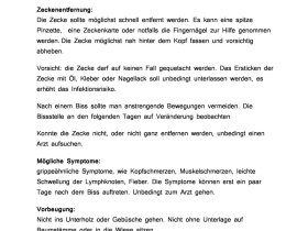 Zeckenbiss Tipps vom BRK