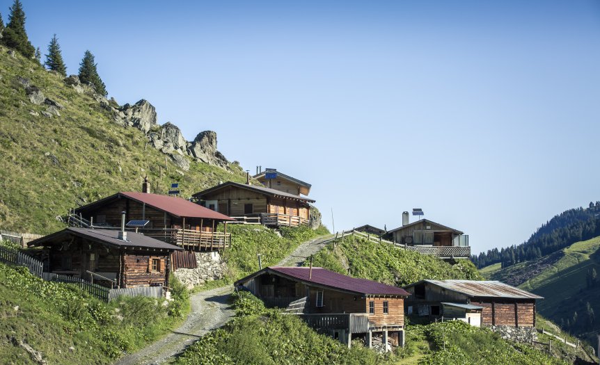 Vier almen marsch hund©zillertaltourismus BernhardHuber