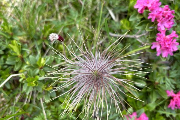 Kitzbühel-Lienz Tag 2 (2)