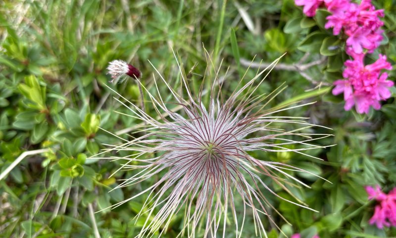 Kitzbühel-Lienz Tag 2 (2)