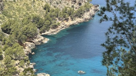 Genusswandern Mallorca Blick auf Bucht