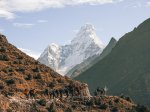 Nepal-Trekking - Everest Region - Namche (14)