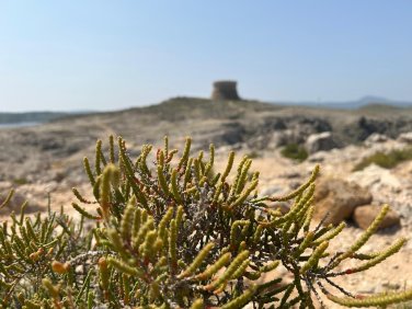 Menorca GR 223-Wandertour Camí de Cavalls (4)