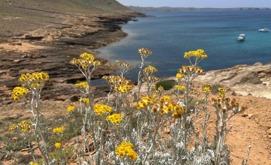Menorca GR 223-Wandertour Camí de Cavalls (6)