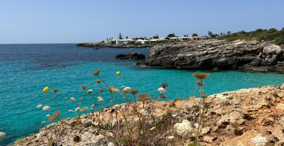 Menorca GR 223-Wandertour Camí de Cavalls (8