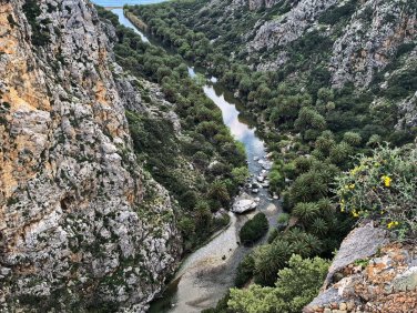 7 mn. Blick in die Schlucht mit dem Palmenwald  Preveli-min