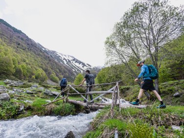 High Scardus Trail (10)