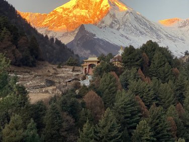 Manaslu from Low