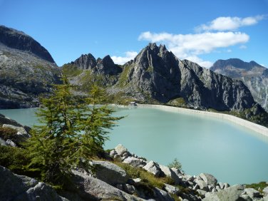 Albinga