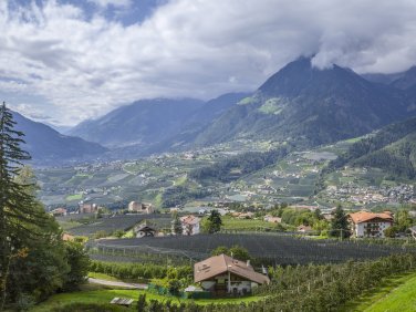 Schenner Waalweg, Blick von südlich des Unterroadhofs nach Westen 2