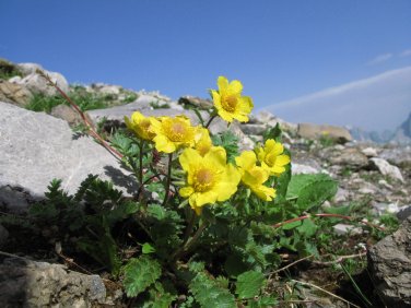 Wandern  Walserweg I Schweiz (34)