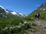 Wandern Schweizer Alpenüberquerung (50)