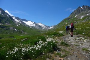 Wandern Schweizer Alpenüberquerung (50)