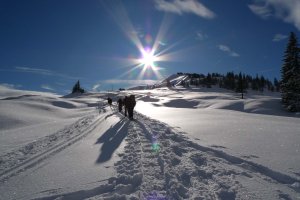 SchneeschuhAllgäuHochgrat (21)