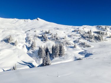 Schneeschuhtour Schwarzwasserhütte