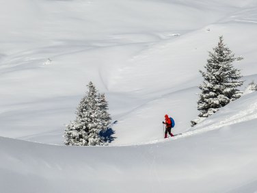 Schneeschuhtour Schwarzwasserhütte
