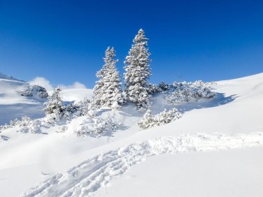 Schneeschuhtour Schwarzwasserhütte