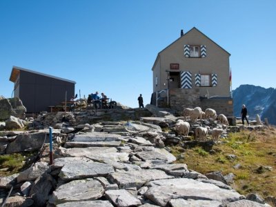 Dammahütte