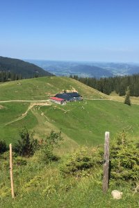 Nagelfluhkette Alpe Gund