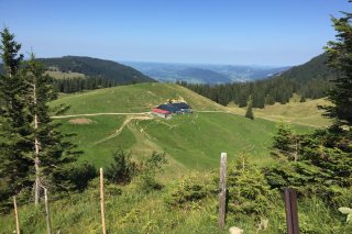 Nagelfluhkette Alpe Gund