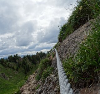 Höhenangst-Training Drahtseil