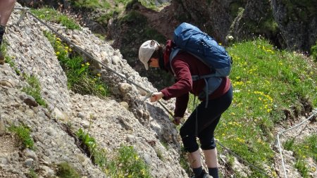 Höhenangst-Training Herausforderung