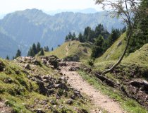 Höhenangst-Training Wanderweg