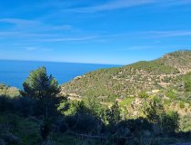 Banyalbufar