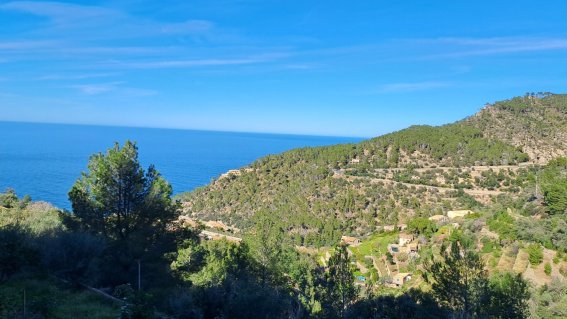 Banyalbufar