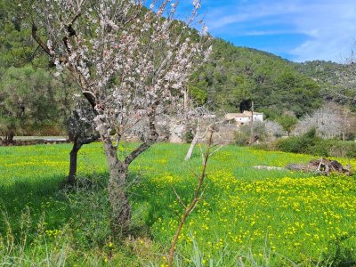 Frühling