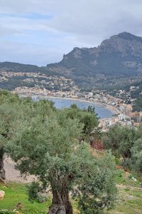 Port de Soller