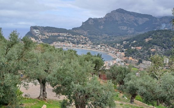 Port de Soller