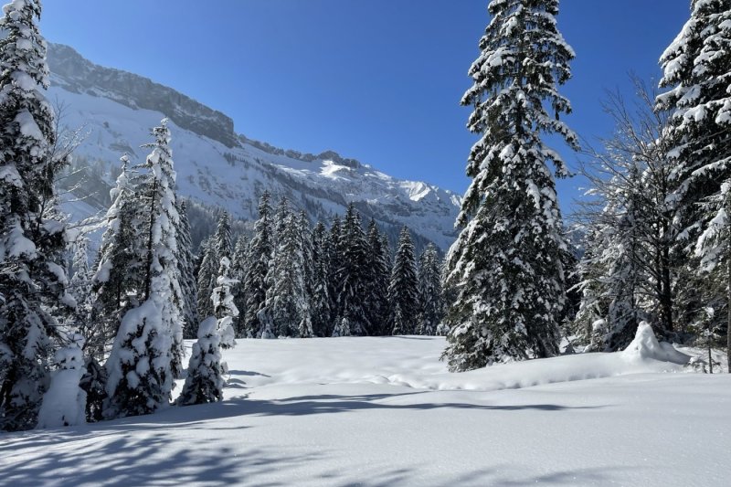 Winterlandschaft