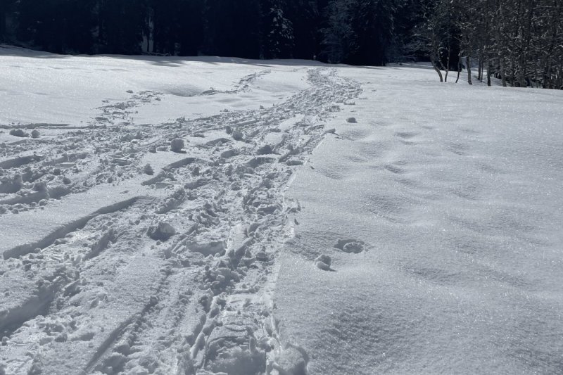 Winterlandschaft Rohrmoos