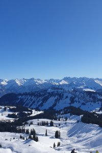 Panorama Winterlandschaft
