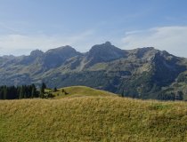 Schafsalpköpfe