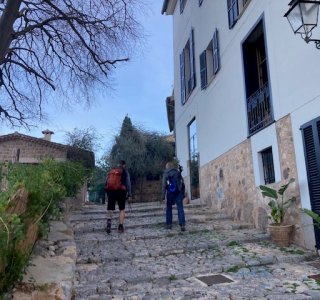 Soller