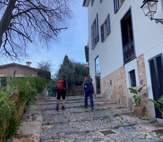 Soller