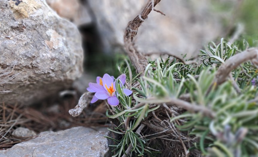 Frühling