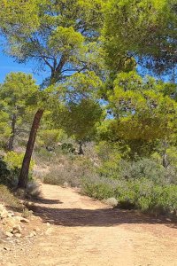 Wanderweg Mallorca