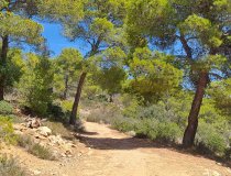 Wanderweg Mallorca