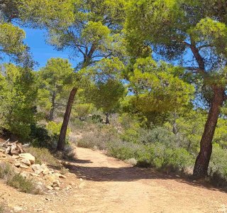 Wanderweg Mallorca