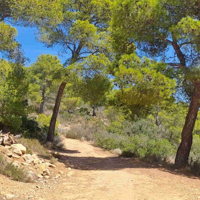 Wanderweg Mallorca