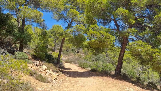 Wanderweg Mallorca