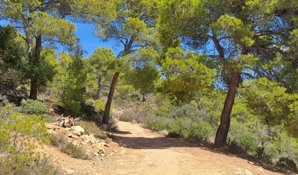 Wanderweg Mallorca