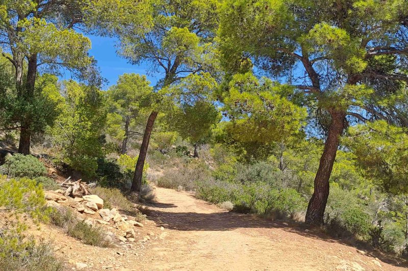 Wanderweg Mallorca