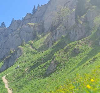 Steineberg