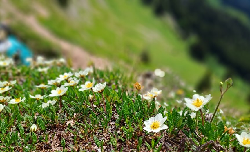 Kleine Auszeit