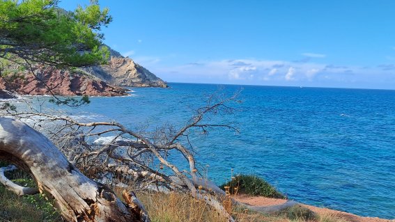 Seminarreisen Mallorca