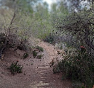 Wanderweg